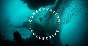 conservation collective logo